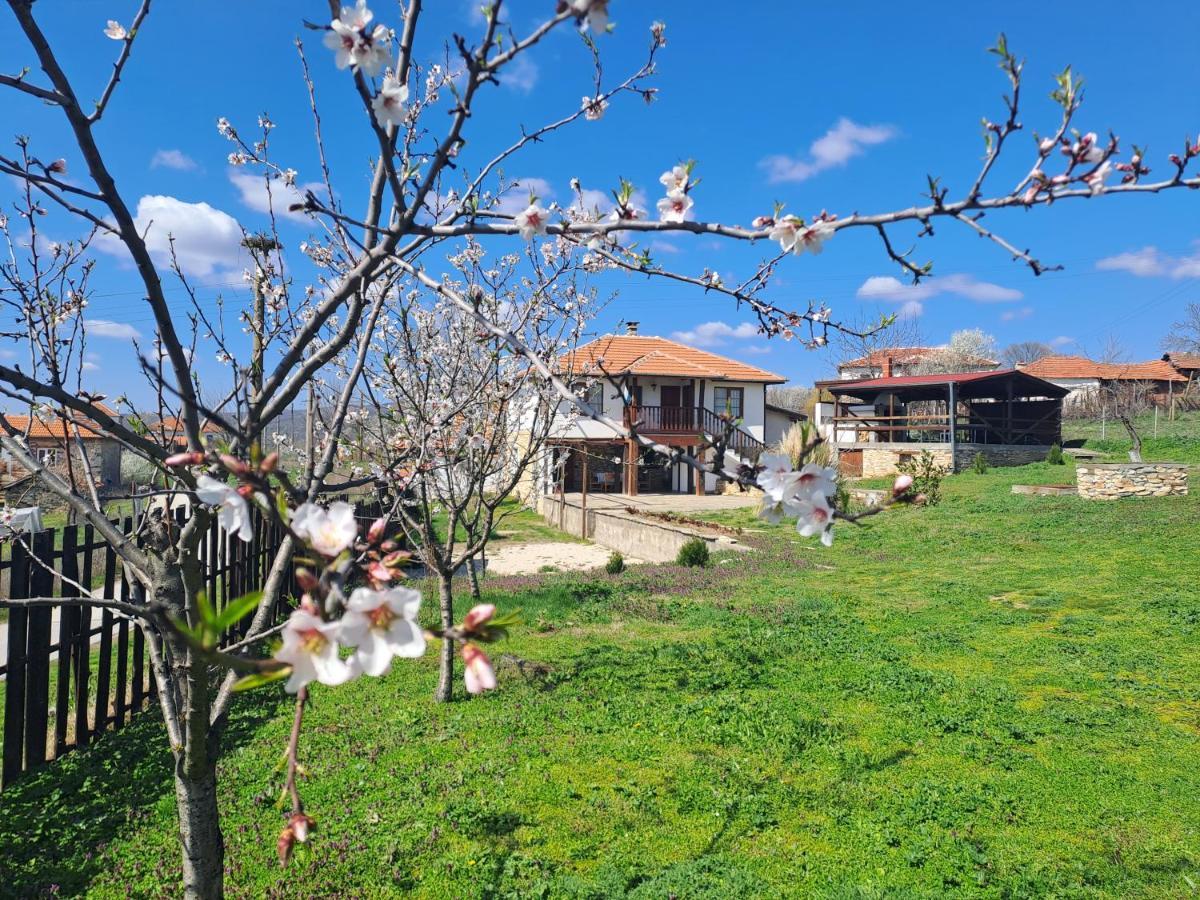 מלון Casa Lambuh מראה חיצוני תמונה